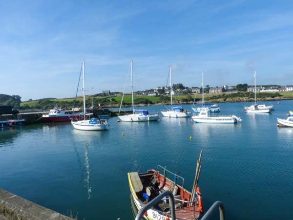 The Clamshell Lejlighed Isle of Whithorn Eksteriør billede